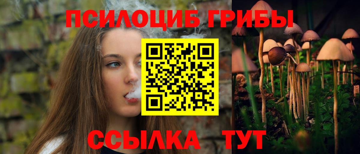 Псилоцибиновые грибы Cubensis  Вход с VPN  Кашира 